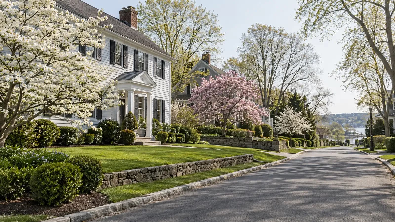 A tree-lined residential street in Norwalk in spring
